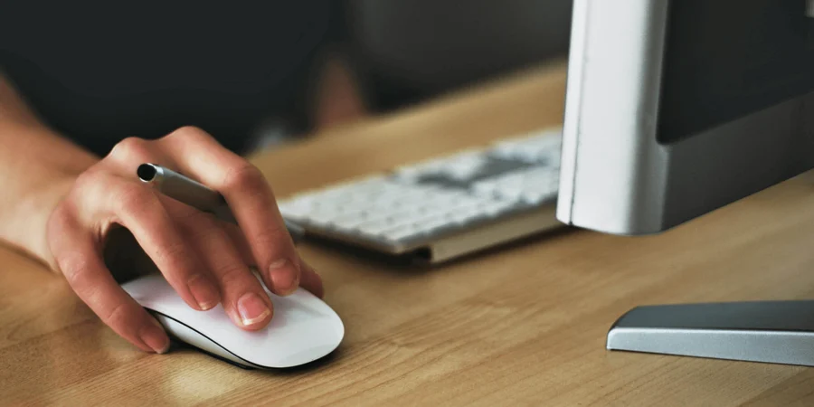 Computer and mouse